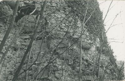 Vinica Breg (Vinica) - ruševine srednjovjekovnog grada