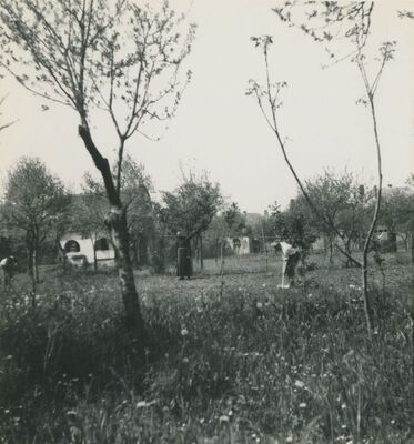 Varaždin - kapucinski samostan