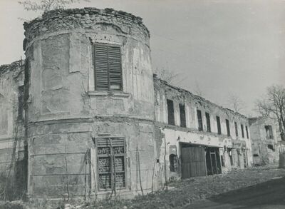 Dvorac Oroslavje Gornje (Oroslavje), vanjština, detalj