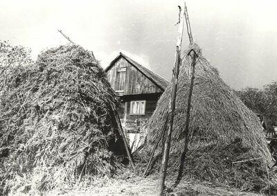 Martinski Vrh (Ribnik) - Stog paprati i sijena ispred kuće