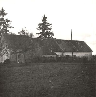 Novo Mjesto - Kurija, začelje