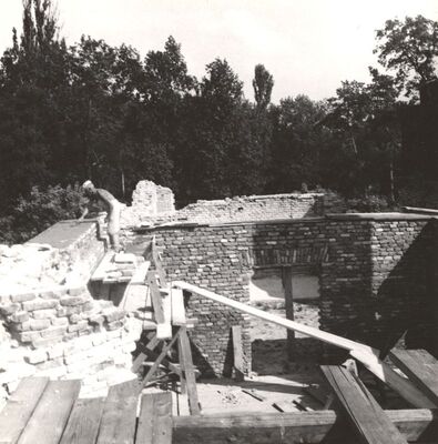 Januševec - Dvorac Januševec, popravak zida