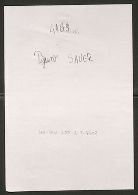 Sauer, Đuro, 17.5.1901. Policijski karton