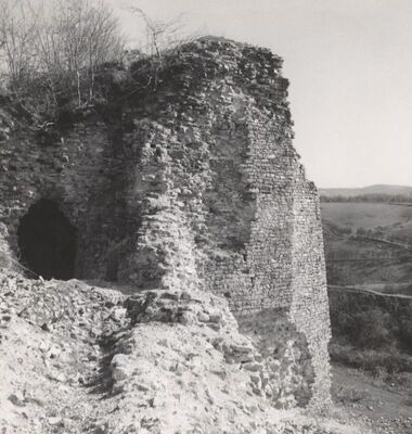 Podcetin (Cetingrad) - Stari grad Cetin, detalj