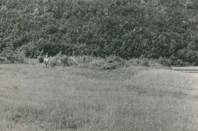 Stupe - Ruševine crkve sv. Mihajla