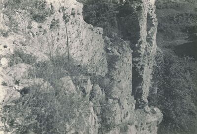 Klokoč (Vojnić) - Stari grad Celjskih, detalj