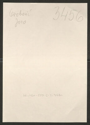 Orobović, Joco, 19.8.1899. Policijski karton