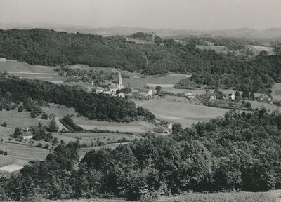 Desinić - Panorama