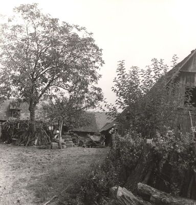 Gustelnica - Gospodarske zgrade