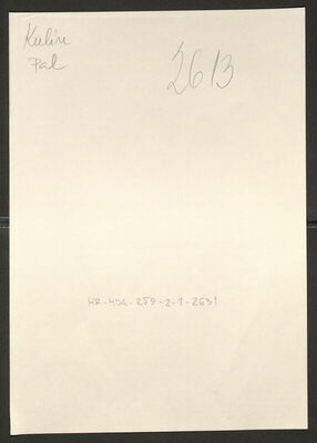 Kulik, Pal, 1897. Policijski karton