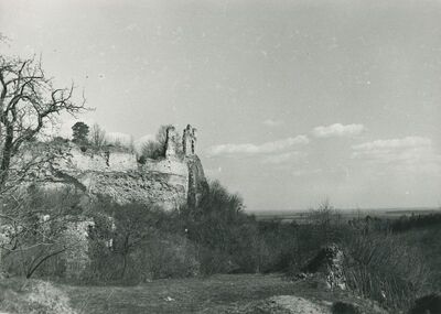 Vinica Breg (Vinica) - ruševine srednjovjekovnog grada