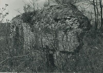 Vinica Breg (Vinica) - ruševine srednjovjekovnog grada, svodovi