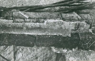 Vukovina - Kurija Alapić, spoj zapadnog i sjevernog pročelja