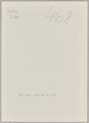 Bohin, Izidor, 1902. Policijski karton