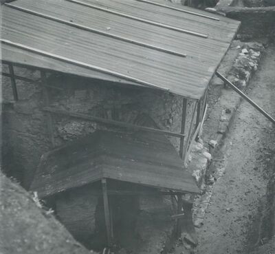 Varaždinske Toplice - terme u parku, zimska zaštita