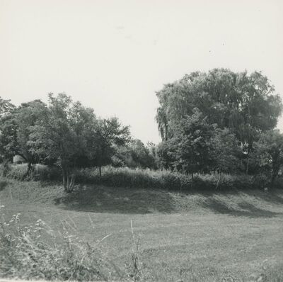 Bisag - dvorac, šančevi