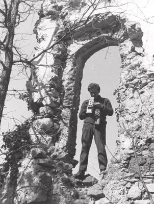 Vojnovec Loborski (Lobor) - Burg, ruševina