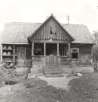 Drenje Šćitarjevsko - Tradicijska kuća, ulazno pročelje