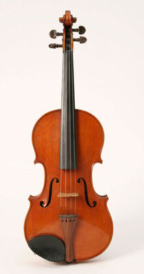 Violina
