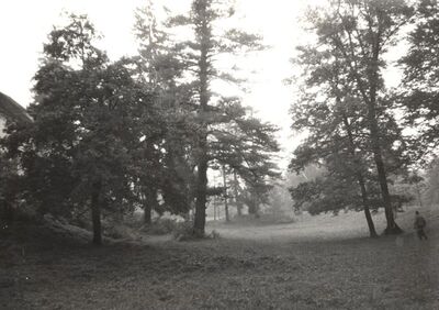 Jastrebarsko - Dvorac Erdődy, detalj parka