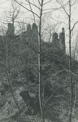 Vojnovec Loborski (Lobor) - Burg, ruševina