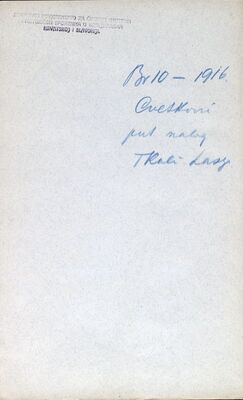 Cvetković (Jastrebarsko) - službeno putovanje, izvještaj s puta