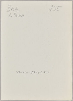 Beck, Pavao, 11.10.1892. Policijski karton