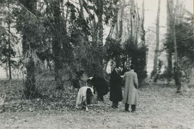 Križovljan Radovečki - park oko dvora