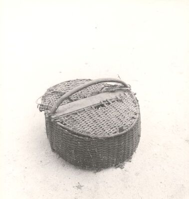 Gustelnica - Košara