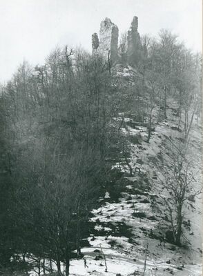 Lipovac - Stari grad Lipovac, situacija