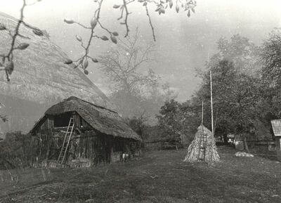 Martinski Vrh (Ribnik) - Gospodarska zgrada