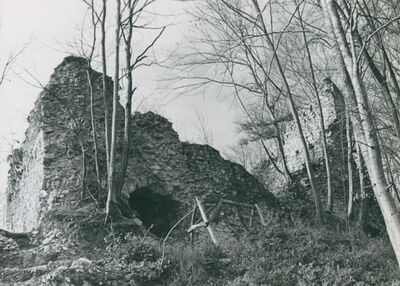 Zelingrad - Stari grad Zelingrad, dvorište