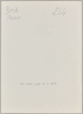 Beck, Pavao, 1895. Policijski karton