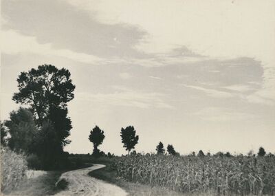 Čukovec (Ludbreg) - pejzaž