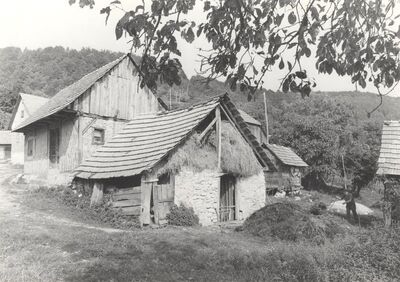 Cerovica - Tradicijska kuća s gospodarskom zgradom