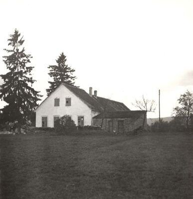 Novo Mjesto - Kurija, total