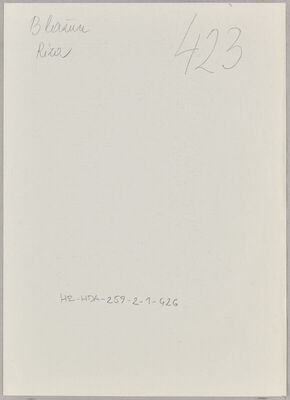 Blažun, Riza, 29.4.1903. Policijski karton