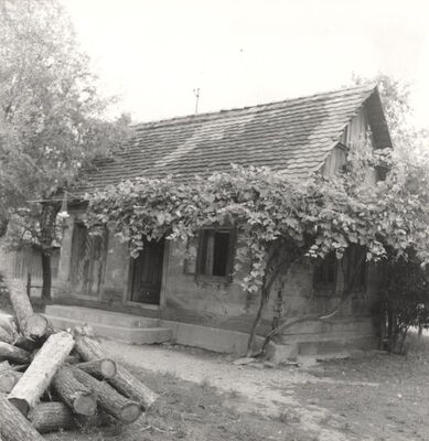Drenje Šćitarjevsko - Tradicijska kuća, ulazno pročelje