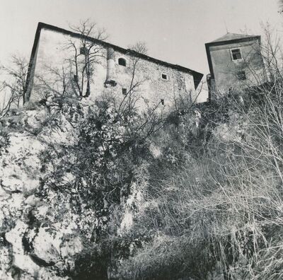 Ozalj - Stari grad, palas