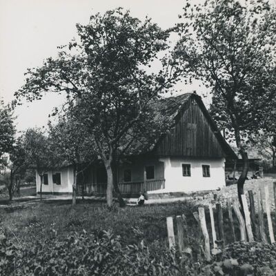 Dubravica - Kuća Pavla Štoosa, total