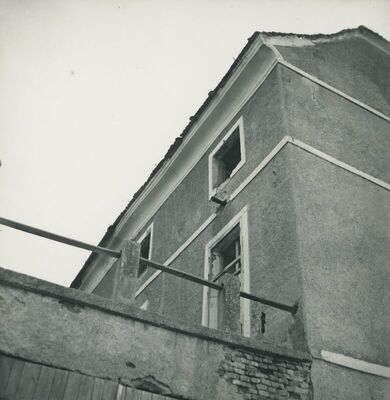 Poznanovec (Bedekovčina) - Dvor, vanjština, detalj