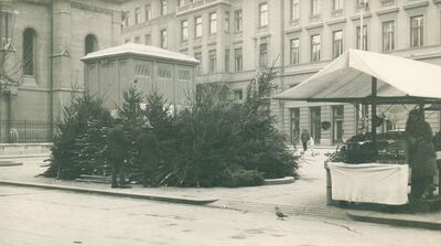 Zagreb (Preradovićev trg) - Prodaja božićnih drvaca na Preradovićevom trgu