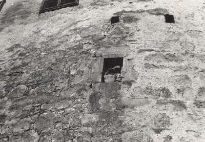 Ribnik - Stari grad, detalj