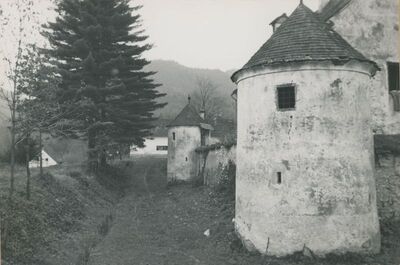 Bela (Novi Marof) - dvor I, detalj