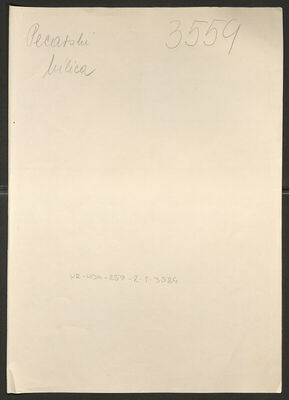 Pecarski, Milica rođ. Anđelković, 1895. Policijski karton