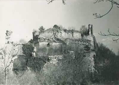 Vinica Breg (Vinica) - ruševine srednjovjekovnog grada