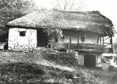 Martinski Vrh (Ribnik) - Tradicijska kuća, zapadno pročelje