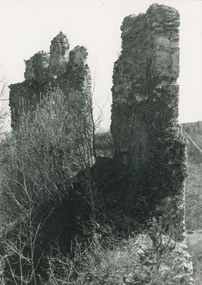 Vinica Breg (Vinica)- ruševine srednjovjekovnog grada