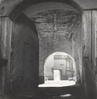 Ribnik - Stari grad, detalj