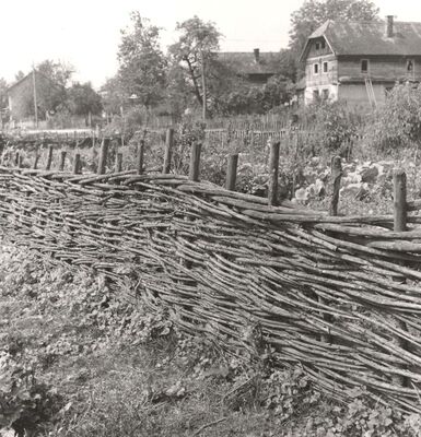 Suša - Ograda od šiblja